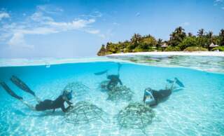 Four Seasons Resorts Maldives: Setting the Global Standard for Luxury-Led Marine Conservation
