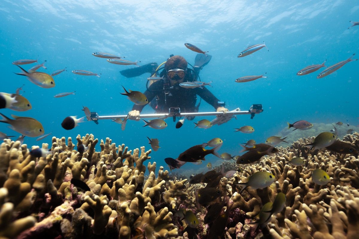 Six Senses Kanuhura Introduces Advanced 3D Reef Monitoring Initiative in the Maldives